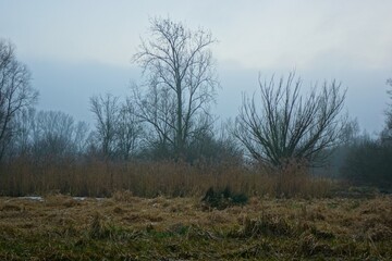 Landschaftsschutzgebiet Niersaue bei Grefrath
