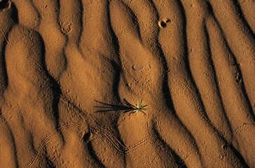 USA Utah Glen Canyon National Recreation Area traces in sand