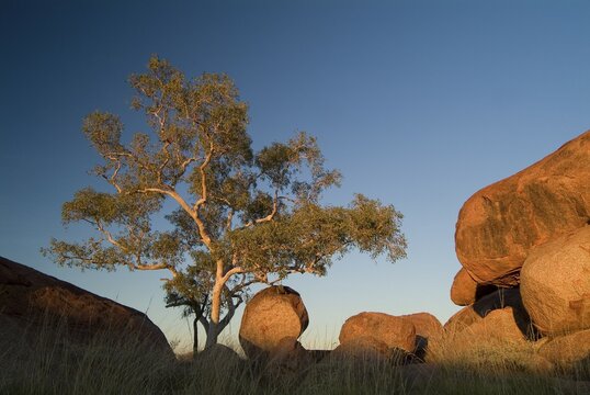 Outback Devels Marbels, Northern Territory, Australia, Oceania