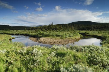 River bend, Jotunheimen National Park, Norway, Scandinavia, Europe