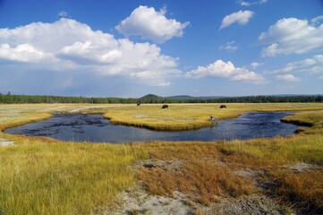 Landscape, Yellowstone national park, Wyoming, USA, North America