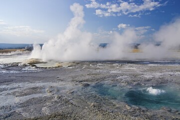 Geyser, Yellowstone national park, Wyoming, USA, North America