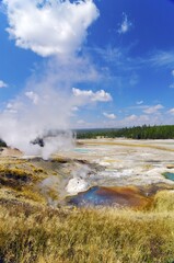 Steaming geysers, Norris Geyser Basin, Yellowstone National Park, Wyoming, USA, United States of...