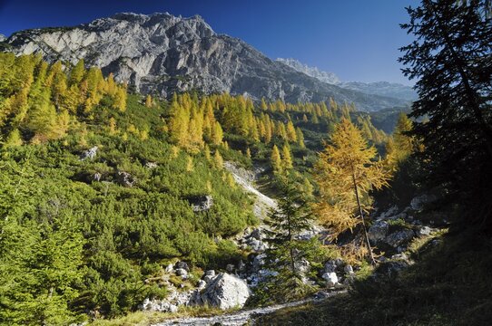 Elferkofel, Fischlein Valley, Sextener Dolomites, South Tyrol, Italy, Europe