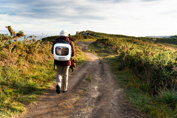Woman hiking with cat in backpack enjoying scenic nature walk