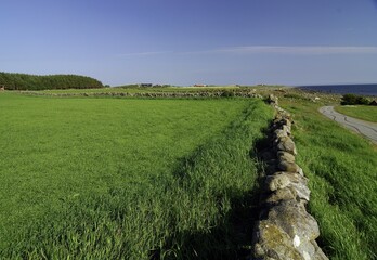 Cultivated landscape, Vest-Agder, Norway, Scandinavia, Europe