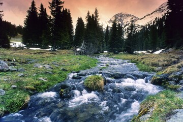 Mountain stream, dark forest in the back, Kuehtai, Stubai Alps, Tyrol, Austria, Europe