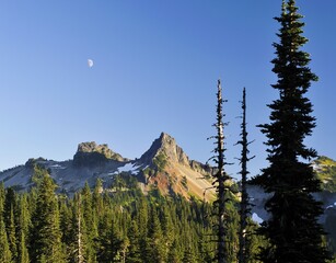 Free space for text, Castle Peak, Mount Rainier National Park, Washington, USA, North America