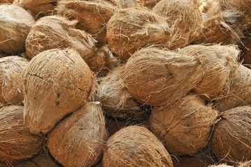 Lots of coconuts lying on top of each other, Mekong Delta, Vietnam, Asia