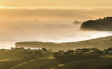 Coast at Otago, South Island, New Zealand, Oceania