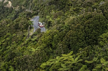 Truck on a country road in dense rain forest, Paparoa National Park, Punakaiki, South Island, New...