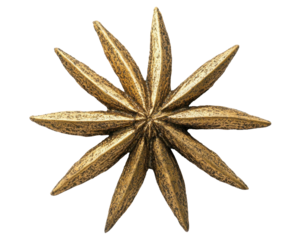 A decorative star-shaped object with multiple pointed edges, likely used as an ornament or design element.