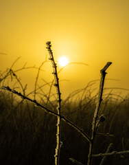 Obraz premium ice crystals and sun