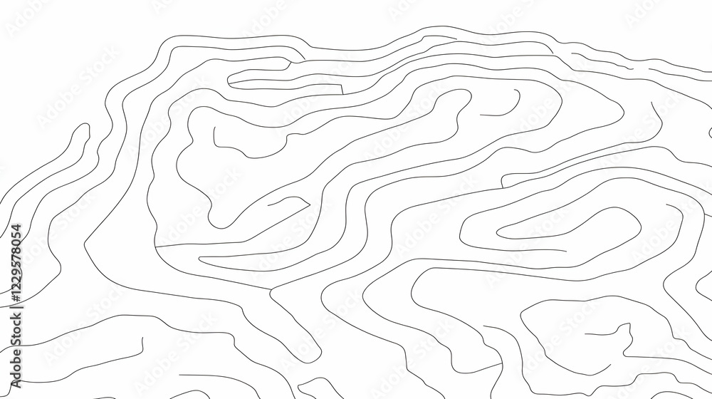 Poster Abstract Topographic Contour Line Pattern Creates a Visually Intriguing Design on a White Background