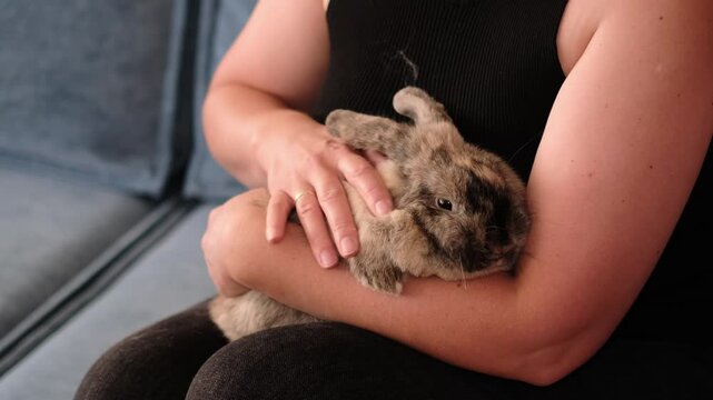 A rabbit snuggles against a woman s arm, with its head resting gently. The photo captures a tender moment of affection, emphasizing the calming effect of close contact between pets and their owners.