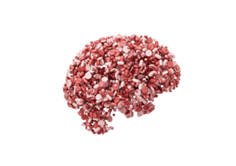 Human Brain Made From Pink And Red Pills Symbolizing Medication And Mental Health 3D Illustration