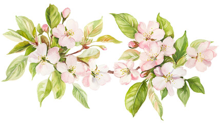 Fototapeta premium Vibrant Watercolor Spring Wreath of Cherry Blossoms and Green Leaves