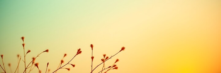 Silhouette of Bare Branches Against a Warm Gradient Sunset Sky