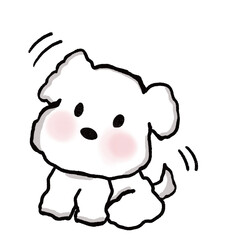 White dog