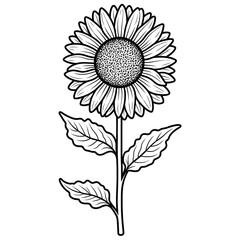 Black and white outline coloring and drawing of a sunflower.