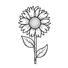 Black and white line art illustration of a sunflower.