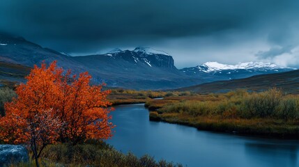 Serene autumn landscape with vibrant orange tree by a calm river under a dramatic sky