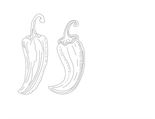 illustration of a chili pepper.  chili pattern Background. vintage chili background. pepper pattern background. chili doodle pattern background. hot chili pattern
