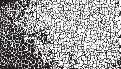 Black and white Grunge background. Dirty and damaged backdrop. Grunge black and white pattern. Monochrome particles abstract texture. EPS10.