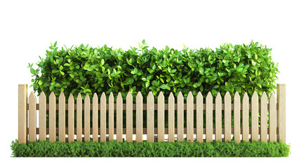 Fototapeta premium Wooden picket fence surrounded by lush greenery nature scene, on transparent background