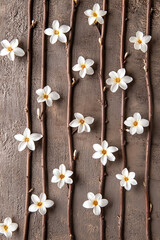 Dark background with white flowers and vines, flat lay photography, symmetrical. 