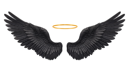 black angel wings with a gold halo isolated on a transparent background.
