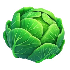 Fototapeta premium Fresh green cabbage head with detailed leaves on a transparent background, a healthy vegetable for cooking and nutrition, concept of organic food and agriculture