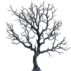 Fototapeta premium Spooky Dead Tree Branches on transparent background.