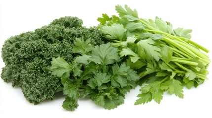Fototapeta premium Fresh kale and parsley bunch isolated on white background.