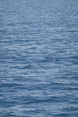 Fototapeta premium ocean sea waves 바다 파도