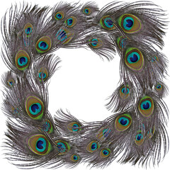 Obraz premium Peacock feathers on watercolor background. A collage of feathers on the background of watercolors. A collage of feathers. Repeating pattern of feathers.