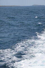 ocean sea waves 바다 파도