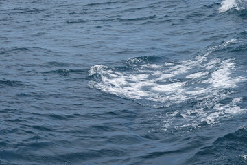 Obraz premium ocean sea waves 바다 파도