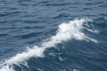 ocean sea waves 바다 파도