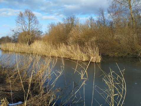 Water canal in spring with dry yellow reeds in the water. Beautiful spring landscape on a reservoir with clear clean water and reed-covered banks.