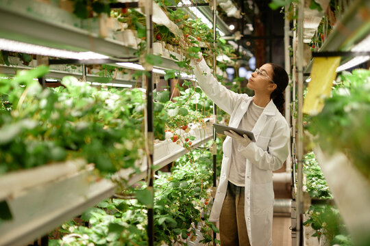 Scientist observing growth of plants under artificial lighting in research facility, taking notes on a digital tablet, showcasing advanced agricultural techniques for indoor farming