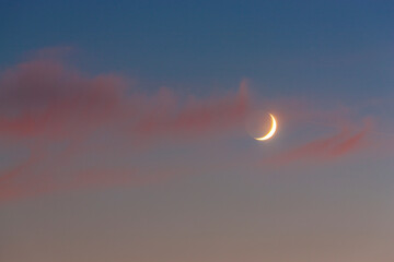 Moon