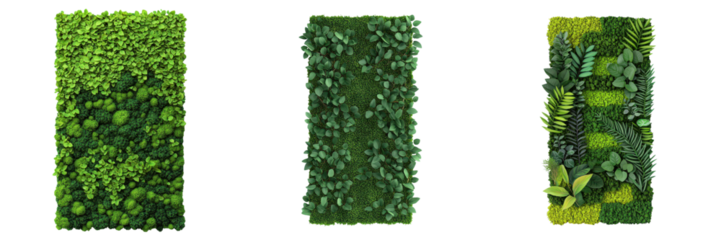 Vibrant Organic Wall Decor with Lush Green Foliage Arrangements  Decorative vertical gardens made of various types of leaves plants and greenery for interior design