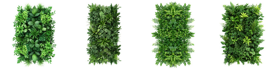 Vertical green wall panels made up of a variety of lush vibrant and diverse foliage and greenery