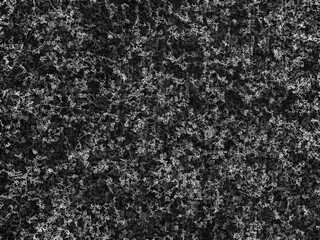 Black and white squiggles illustration backdrop