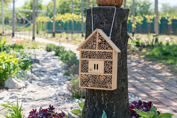 bug hotel in the garden
