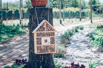 bug hotel in the garden