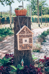 bug hotel in the garden