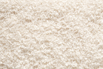 close up white raw rice background