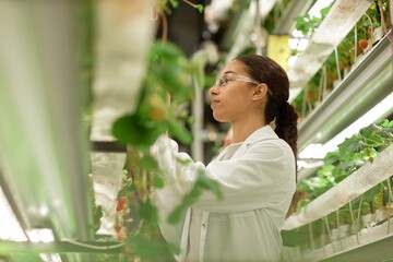 Female scientist in white lab coat examining plants in an indoor vertical farm, surrounded by...